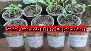 Seed Germination Experiment  How to germinate a seed  Full explanation video  bittuacademy4037 [upl. by Civ]