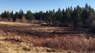 Alder Tree Removal Land Clearing  ICF Homestead [upl. by Botnick]