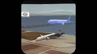 vasp flight 375 emergency landing [upl. by Atinej]