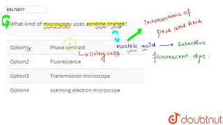 What kind of microscopy uses acridine orange [upl. by Sosthina279]