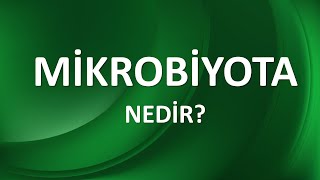 MİKROBİYOTA NEDİR [upl. by Russon1]