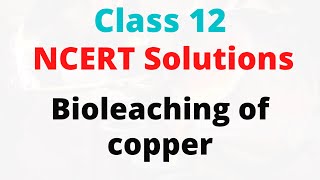 11 Bioleaching of copper [upl. by Maddeu]