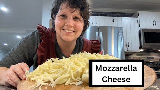 MOZZARELLA CHEESE amp Lasagna 100 From Scratch [upl. by Hospers940]