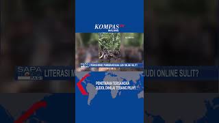 Literasi Minim Pemberantasan Judi Online Sulit [upl. by Oivalf]