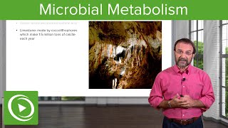 Metabolic Wizardry Microbial Metabolism – Microbiology  Lecturio [upl. by Grania]