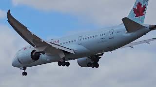 Plane spotting at Toronto Airport landing of aircanada boeing boeing787 dreamliner [upl. by Serolod830]