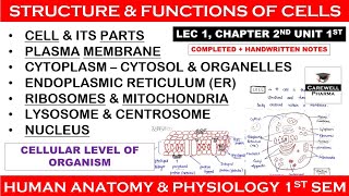 Cell Structure and Function  Human anatomy and physiology1 L 1  Unit 1  hap b pharmacy 1st sem [upl. by Anin347]