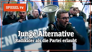 »Junge Alternative« Selbst den Rechtsradikalen zu radikal  SPIEGEL TV [upl. by Janetta]