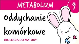 Metabolizm 9  Oddychanie 🫁 komórkowe tlenowe jako gra komputerowa 🎮  biologia do matury [upl. by Abbub]