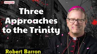 Three Approaches to the Trinity  Robert Barron [upl. by Oleic]