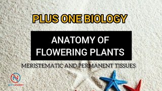 ANATOMY OF FLOWERING PLANTS  MERISTEMATIC AND PERMANENT TISSUES  PLUS ONE BIOLOGY [upl. by Annael]