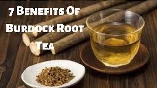 7 Benefits Of Burdock Root Tea [upl. by Babbie]