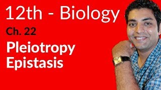 FSc Biology Book 2 Pleiotropy Epistasis  Ch 22 Variation and Genetics  12th Class Biology [upl. by Maice592]