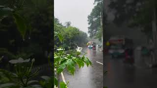 barish ke mausam mein tanhai ke aalam mein MK Manish Hindi song status love old music song [upl. by Hayimas441]