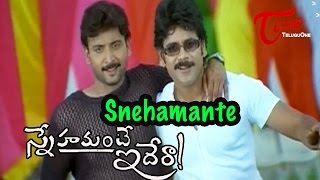 Snehamante Idera Songs  Snehamante  Nagarjuna  Sumanth  Sudhakar [upl. by Lymann342]