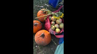 AppleWood Farm Apple Picking [upl. by Saimon]