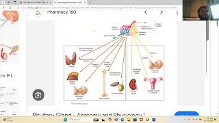 Endocrine Physiology First Aid USMLE Step 1 [upl. by Adiaroz521]