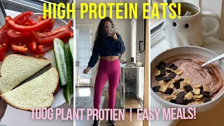 High Protein Day of Eats 100G Plant Protein [upl. by Esdras539]