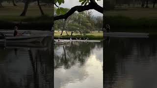 Kayaker Training Ala Wai Waikiki [upl. by Mignon]