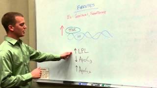 Fibrate Drugs How to Treat Hypertriglyceridemias [upl. by Elery]