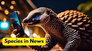 Species in News I Pangolin I Environment I Current Affairs I Trust IAS I Aman Kumar Sir I UPSC 2024 [upl. by Arahas]