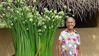 Village Food ❤ Spring Onion flower Recipe by Grandma  Village Life [upl. by Salem]