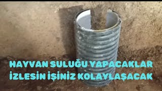 SAĞLAM HAYVAN SULUĞU YAPIMI [upl. by Joelle66]