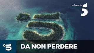 Isola dei famosi  A Gennaio su Canale 5 [upl. by Winnick]