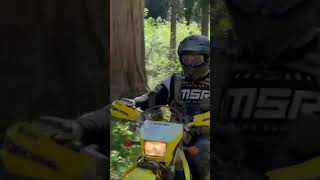 River Crossing in Truckee drz400s dualsportadv [upl. by Germann]