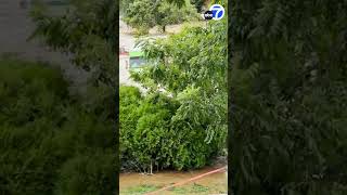 House floats away collapses as Helene leaves North Carolina under water [upl. by Drarig]