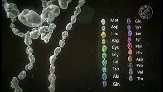 Voyage au coeur de nos cellules  Nom de code  PROTEOME [upl. by Atiluap]