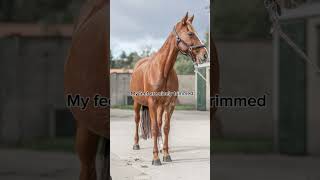 So sad 😞 abuse helphorses foryou horses viral equine equestrian blowup blowthisup fyp fy [upl. by Eeliab]