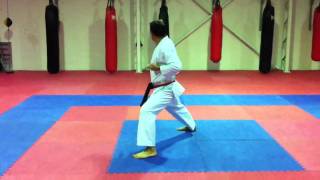 Brown belt kata [upl. by Stratton653]