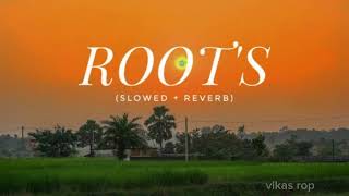 Roots bintu pabra ❣️slowed  reverb The hectic boy Aditya nain Haryanvi slowed versions [upl. by Jud170]