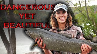 EXTREME Salmon and Steelhead fishing in CRAZY water [upl. by Noach]