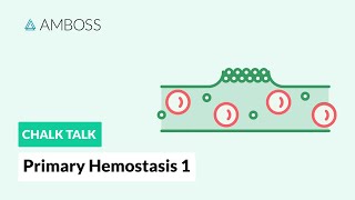 Primary Hemostasis  Part 1 Platelet Adhesion [upl. by Etnomaj]