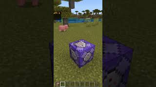 Ticking Area How to Make an Endless Command Block [upl. by Nickolaus657]