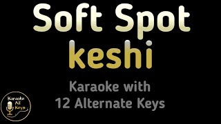 keshi  Soft Spot Karaoke Instrumental Lower Higher Female amp Original Key [upl. by Jacey]