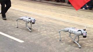 Robot dogs at Lord Mayors show London November 2024 [upl. by Valencia]