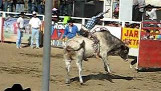 La Munta De La Mosca De Jalisco Jaripeo [upl. by Orestes537]