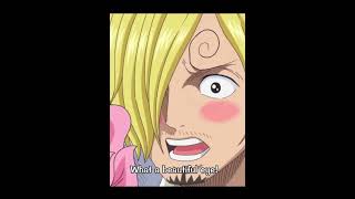 Sanji and Pudding editonepiece onepieceedit sanji puddingonepice [upl. by Naiva]