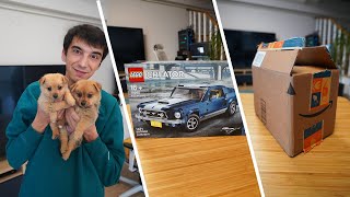 Amerikadan Paket Lego Mustang Yavrular Hüsnü ile Tanıştı Soru Cevap Haftalık Vlog [upl. by Eire]