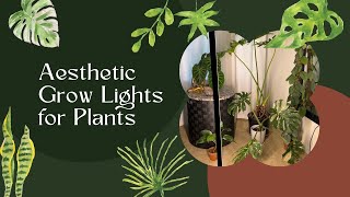 Aesthetic GROW LIGHTS for Houseplant Lighting plantcare plants indoorplants [upl. by Neelhtakyram]