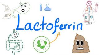 Lactoferrin  Stool Lab 🧪 Test for Inflammation 👨‍⚕️ [upl. by Rumit]