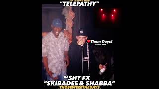 “SHABBA amp SKIBADEE” DJ SHY FX ❤️Them Days Take us back “TELEPATHY” [upl. by Brocky]