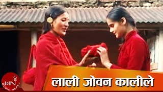 Teej Song  Lali Joban Kaalile quotलाली जोवन कालीलेquot  Haridevi Koirala [upl. by Nica]