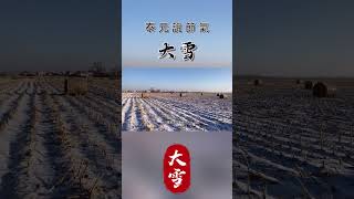 【二十四節氣】泰元說節氣：兩岸大雪。 Part2 shanghai taiwan taiwanculture [upl. by Savvas]