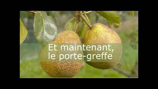 Comment greffer un arbre fruitier [upl. by Gladine]