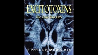 MSG amp Excitotoxins The Silent Killers  Dr Russell Blaylock [upl. by Riatsala]