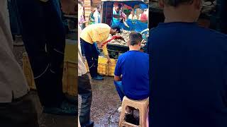 Jhansi fish market shorts youtube video [upl. by Buckels]